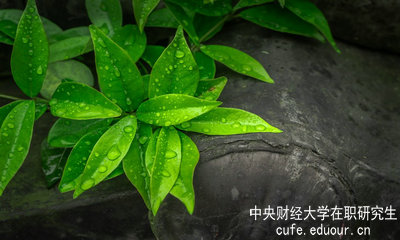 中央財(cái)經(jīng)大學(xué)同等學(xué)力申碩達(dá)到多少分才算通過考試？